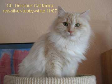 Delicious Cat Izmira